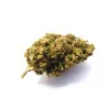 Acheter Skunk en Ligne en Europe