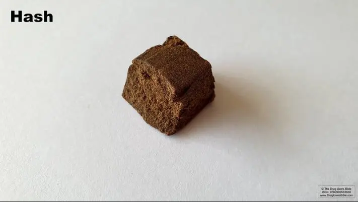 Qu'est-ce que le Semi Dry Hash ?