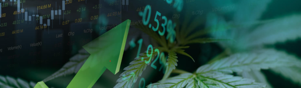 le marché boursier du cannabis à surveiller en 2024