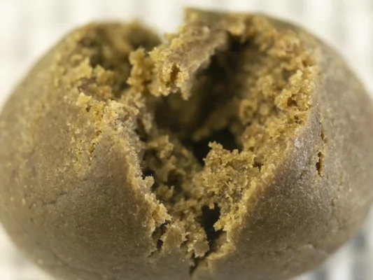 L'Ice-O-Lator Hash : L'un des Meilleurs Concentrés de Cannabis